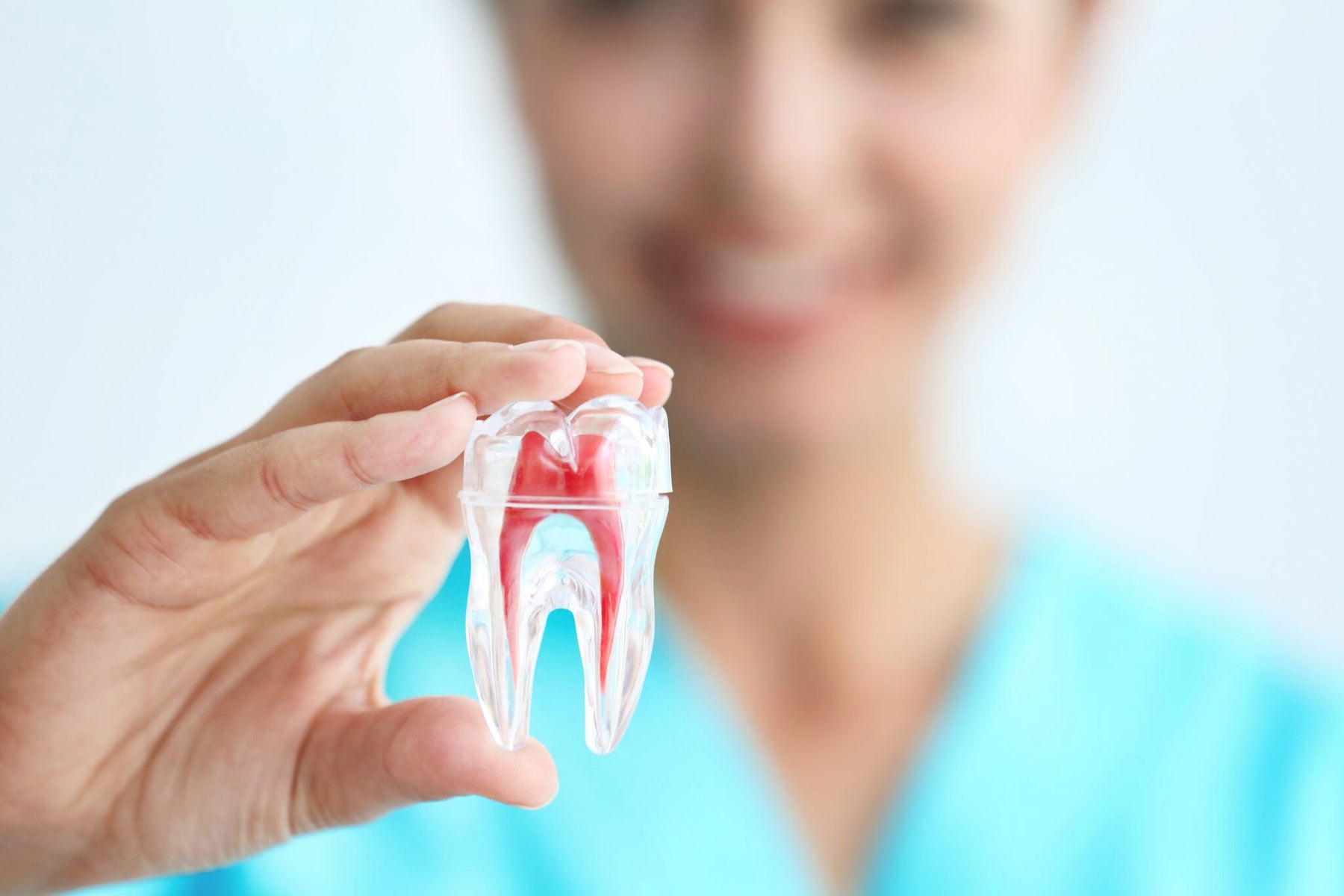 What is an Endodontics in Dentistry? - JMU Dental