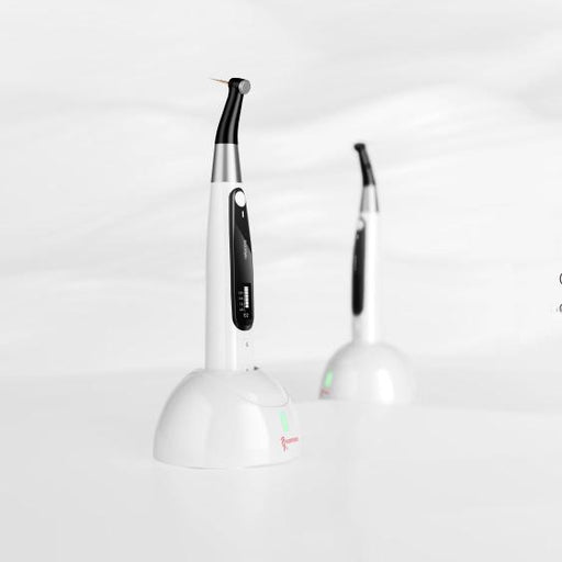 Endodontics - JMU Dental