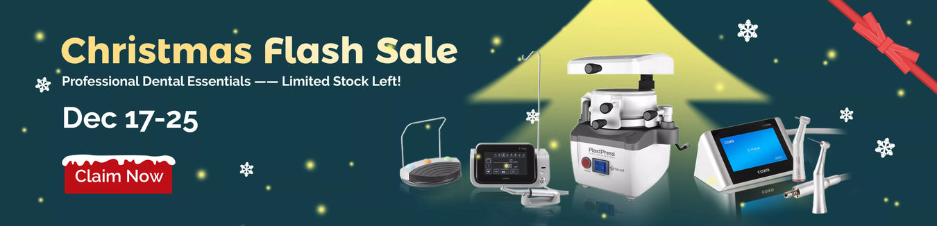 Christmas Flash Sale: Get It Now, Dec 17–24!
