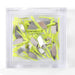 JMU Dental Teeth Interproximal Plastic Wedge Guards Knife Matrix S/M/L 50Pcs/Box - JMU DENTAL INC
