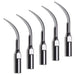 Woodpecker GD1 Ultrasonic Scaler DTE Tips 5pcs/Set - jmudental.com