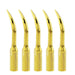 Woodpecker GD1T Ultrasonic Scaler DTE Tips 5pcs/Set - jmudental.com