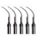Woodpecker G1 Ultrasonic Scaler Tips 5pcs/Set - jmudental.com