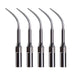Woodpecker G4 Ultrasonic Scaler Tips 5pcs/Set- jmudental.com