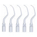 Woodpecker P20 Ultrasonic Scaler Tips 5pcs/Set- jmudental.com