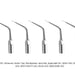 Woodpecker P2L Ultrasonic Scaler Tips 5Pcs/Set - jmudental.com