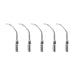 Woodpecker P2RD Ultrasonic Scaler Tips 5pcs/Set- jmudental.com