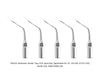 Woodpecker PD2LD Ultrasonic Scaler DTE Tips 5pcs/Set- jmudental.com