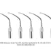 Woodpecker PD2RD Ultrasonic Scaler DTE Tips 5pcs/Set- jmudental.com