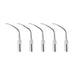 Woodpecker PD2RD Ultrasonic Scaler DTE Tips 5pcs/Set- jmudental.com