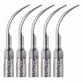 JMU Dental Ultrasonic Scaler Tips 5pcs/box Compatible with EMS/Woodpecker - JMU DENTAL INC