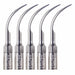 JMU Dental Ultrasonic Scaler Tips 5pcs/box Compatible with EMS/Woodpecker - JMU DENTAL INC