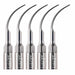 JMU Dental Ultrasonic Scaler Tips 5pcs/box Compatible with EMS/Woodpecker - JMU DENTAL INC