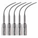 JMU Dental Ultrasonic Scaler Tips 5pcs/box Compatible with EMS/Woodpecker - JMU DENTAL INC
