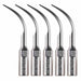 JMU Dental Ultrasonic Scaler Tips Compatible with SATELEC/DTE/NSK 5pcs/box - JMU DENTAL INC