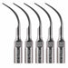 JMU Dental Ultrasonic Scaler Tips Compatible with SATELEC/DTE/NSK 5pcs/box - JMU DENTAL INC