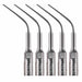 JMU Dental Ultrasonic Scaler Tips Compatible with SATELEC/DTE/NSK 5pcs/box - JMU DENTAL INC