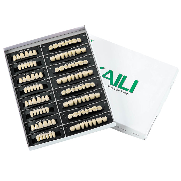 JMU Dental Acrylic Resin Denture Teeth 112Pcs