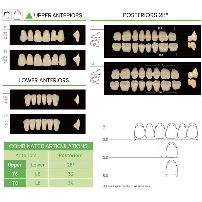 JMU Dental Acrylic Resin Denture Teeth 112Pcs- - JMU DENTAL INC