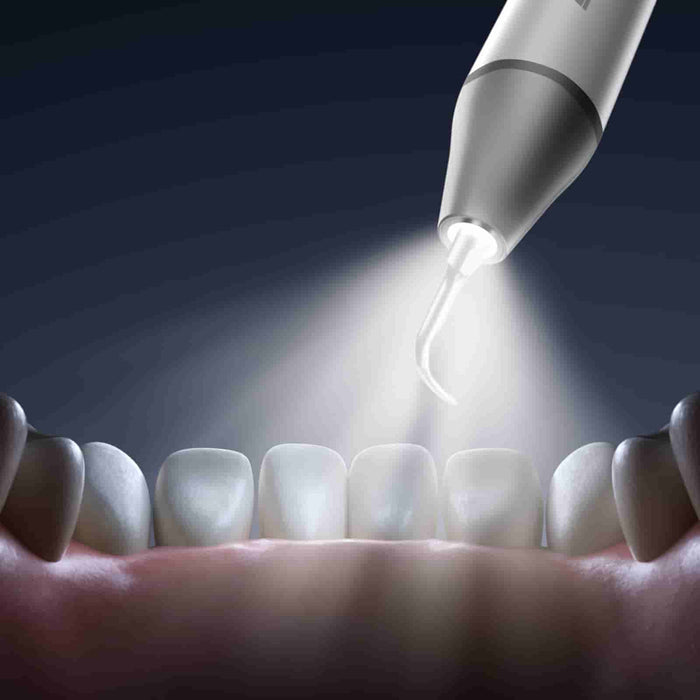 Woodpecker DTE D6 LED Ultrasonic Scaler with Detachable Handpiece for Tartar, Perio & Endo Treatments - JMU DENTAL INC