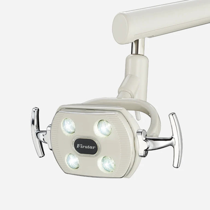 Firstar Ceiling Mount Light Assembly, Pivot Mount Delivery