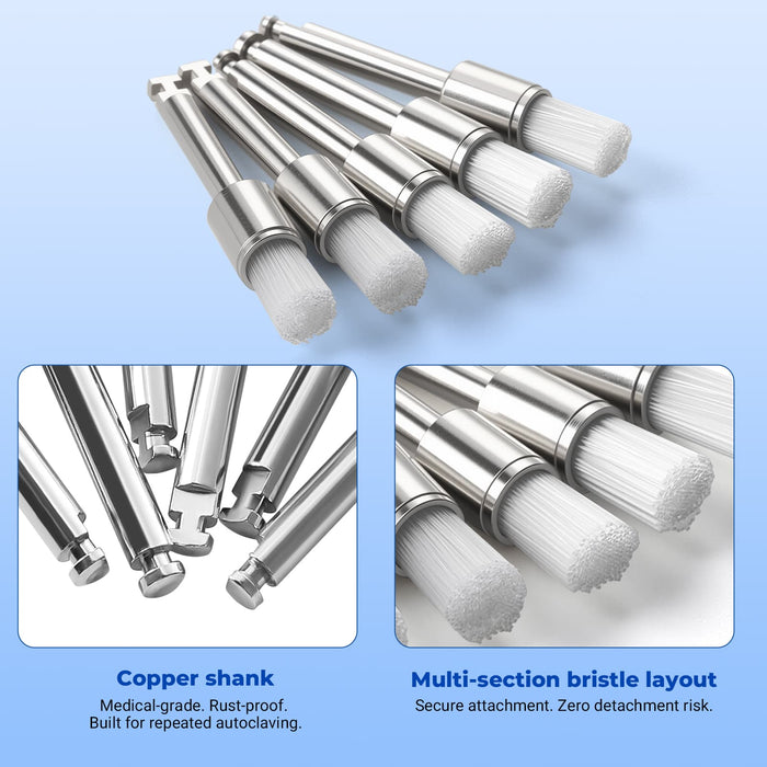 Latch Prophy Brushes product details and nylon bristles - JMU Dental