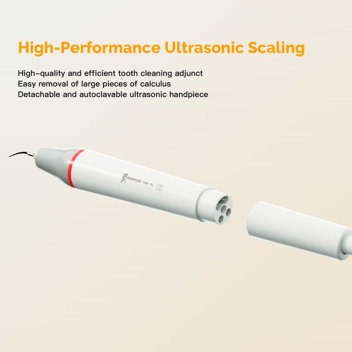 Woodpecker AP-B Dental Air Polisher & Ultrasonic Scaler Prophylaxis Unit 2 In 1 - JMU DENTAL INC