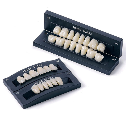 JMU Dental Acrylic Resin Denture Teeth 112Pcs- - JMU DENTAL INC